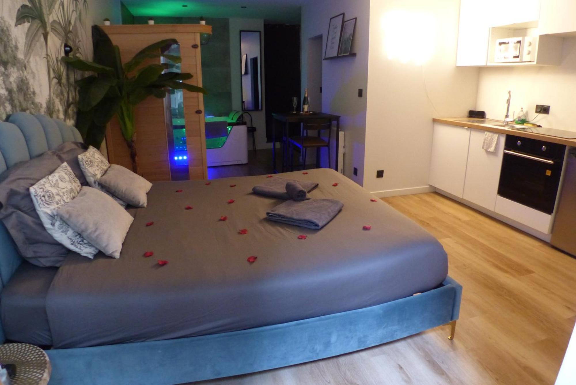 Appartement Balneotherapie Et Sauna Hyper Centre ナント エクステリア 写真