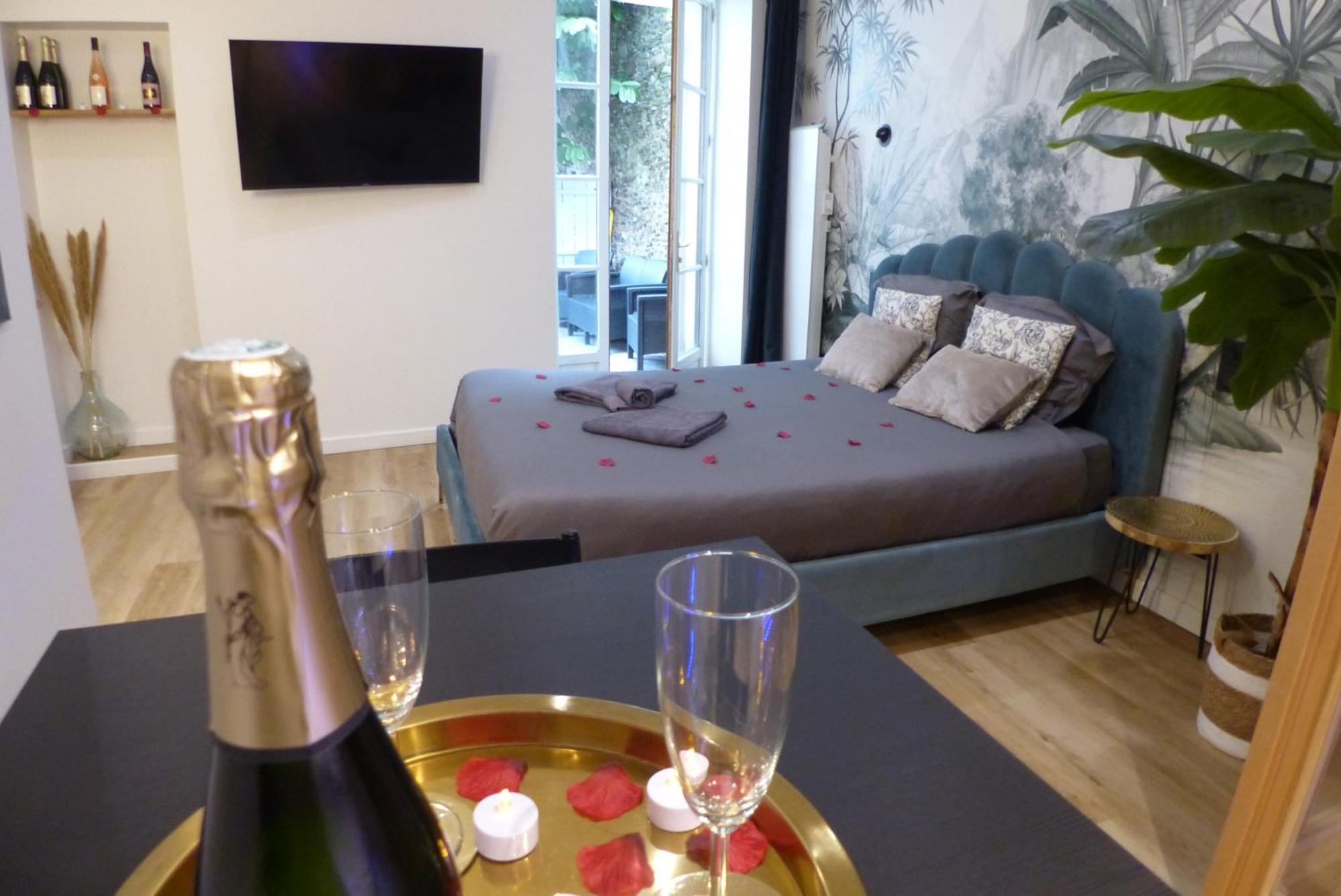 Appartement Balneotherapie Et Sauna Hyper Centre ナント エクステリア 写真