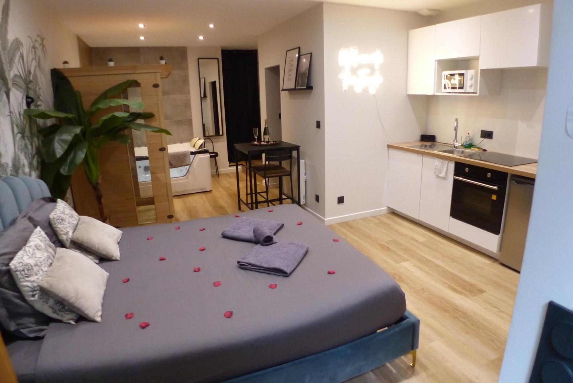 Appartement Balneotherapie Et Sauna Hyper Centre ナント エクステリア 写真